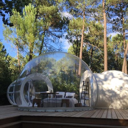 Les Bulles De Bordeaux Bed and Breakfast Salleboeuf Exteriör bild