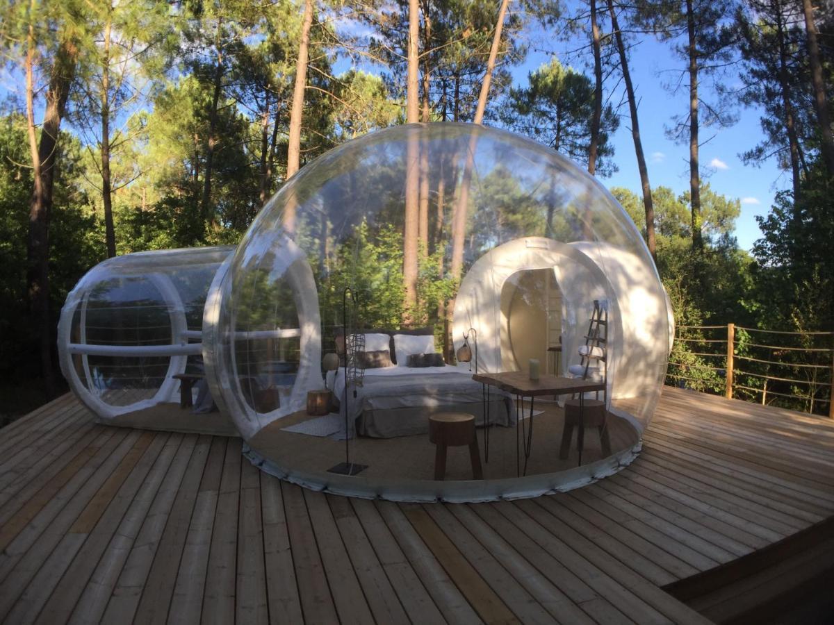 Les Bulles De Bordeaux Bed and Breakfast Salleboeuf Exteriör bild