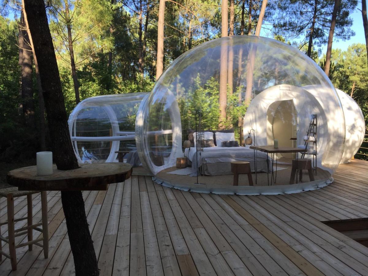 Les Bulles De Bordeaux Bed and Breakfast Salleboeuf Exteriör bild