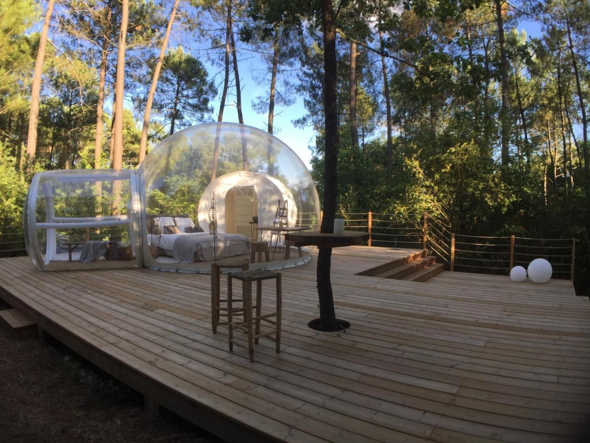 Les Bulles De Bordeaux Bed and Breakfast Salleboeuf Exteriör bild