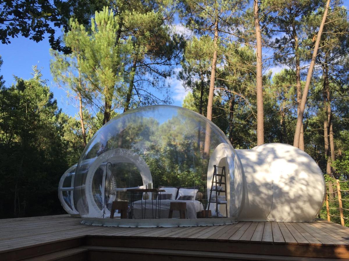 Les Bulles De Bordeaux Bed and Breakfast Salleboeuf Exteriör bild
