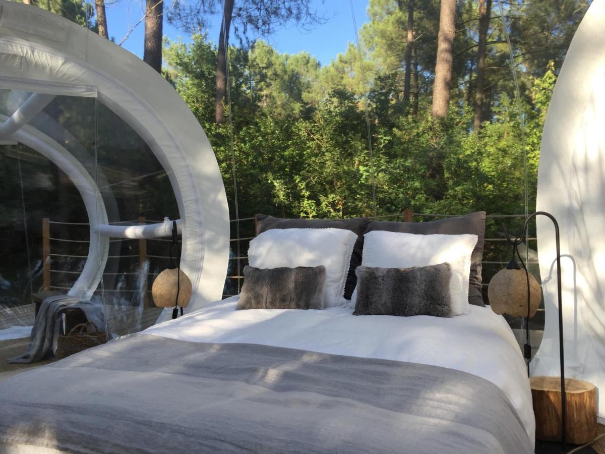 Les Bulles De Bordeaux Bed and Breakfast Salleboeuf Exteriör bild
